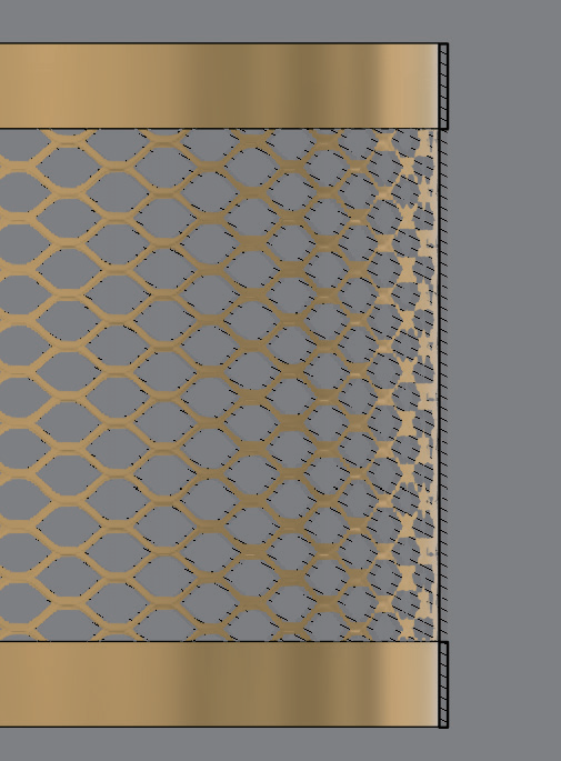integrated_mesh